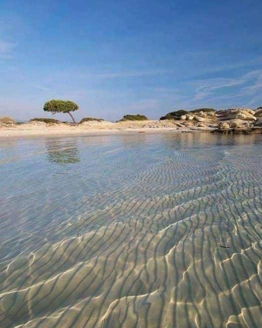 Villa Elea Vourvourou Buitenkant foto
